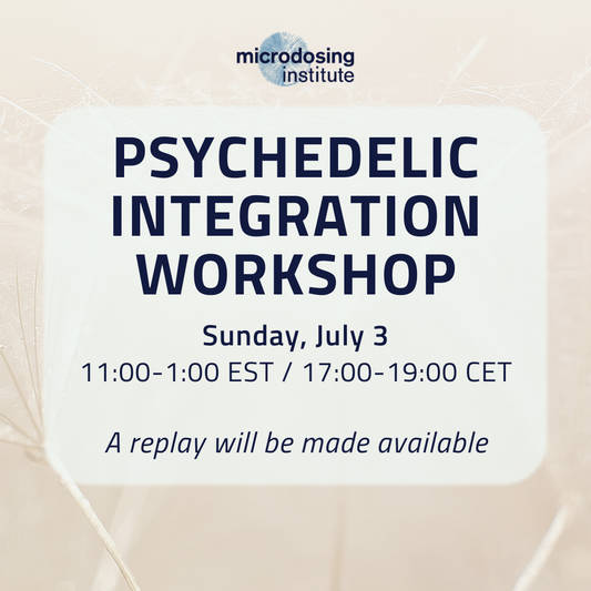 [REPLAY] Workshop: Psychedelic Integration